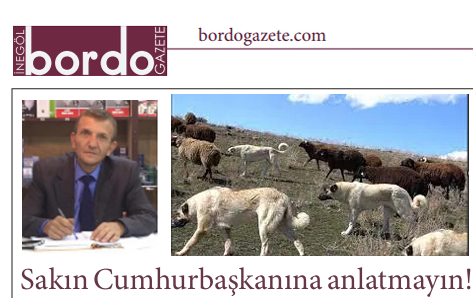 Sakın Cumhurbaşkanına anlatmayın!