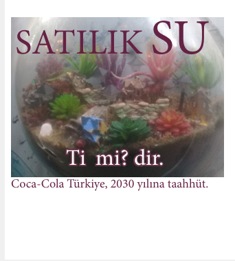SU Var.